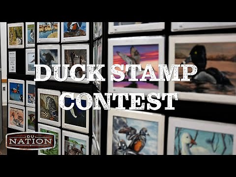 Unveiling the Art of Conservation: 2023 Federal Duck Stamp Contest | DU Nation