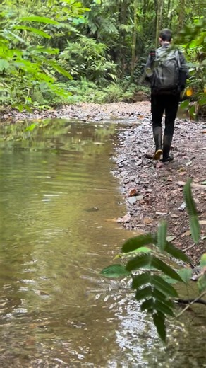 Save the Chocó on Instagram: "Looking back at some old behind the scenes. Making our way to camp. @fundacion.jocotoco #savethechoco"
