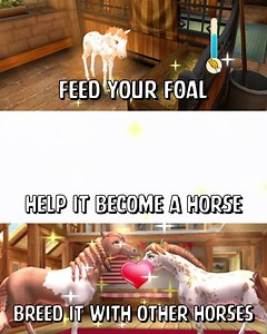 ✨✨✨Take care of your newborn foals and help them grow into handsome horses! 🐴 | Horse Haven: World Adventures