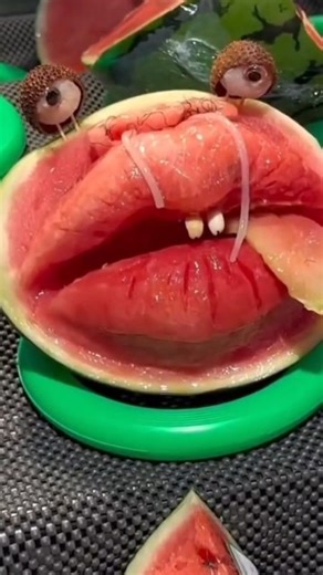 CAT MEMES for that Stressful Exam Day #funny