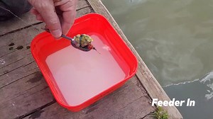 121K views · 365 reactions | Check out that Sweet Banoffi liquid...