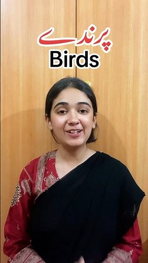 Names of Birds in Urdu Part 1 ( beginner’s level )