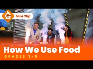Food Science Video Lesson for Kids | Lesson On the Energy in Food | Grades 3-5 | Mini-Clip