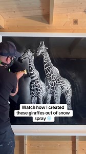 Watch how I created these giraffes out of snow spray! 🤩 Learn the basics of spraying animals and so much more in my 'Master The Art Of Snow Spraying' course: https://tom-baker.mykajabi.com/monthly-subscription #snowspray #snowsprayart #artist #animalart #artistsoftiktok #giraffe | Snow Windows