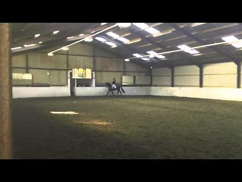 Martine and Garfield riding Medium 61 Dressage Test