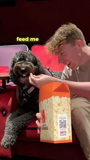 Aaron j Casaceli | Would YOU Give Me Your Dog? Strays in Cinemas NOW! @universalpicsau #StraysMovie #sponsored | Instagram