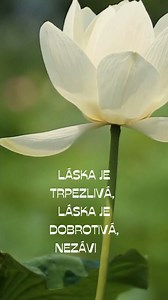 15K views · 691 reactions | Láska je trpezlivá, láska je dobrotivá, nezávidí, láska sa nevystatuje a nenadúva; nie je neslušná, nie je sebecká, nerozčuľuje sa, nezmýšľa zle, neraduje sa z neprávosti, ale teší sa s pravdou; všetko znáša, všetkému verí, všetkého sa nádejá, všetko pretrpí. Láska nikdy neprestane. | ECAV s vami | Facebook