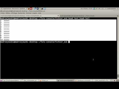 Tutoriel vidéo : Les commandes Unix avancées
