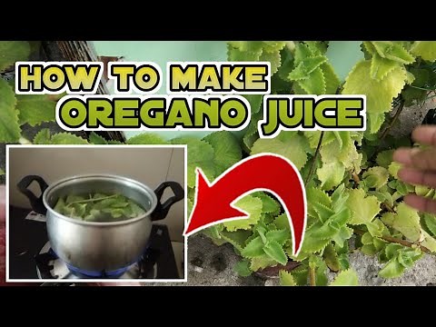HOW TO MAKE OREGANO JUICE AT HOME | The Loft Below