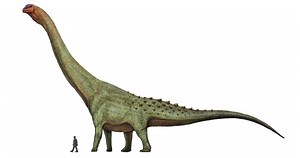 This may be the largest creature in history