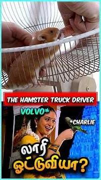 எலியை லாரி ஓட்ட வைத்த VOLVO‼️🤯😂 #volvo #hamster #volvotrucks #facts