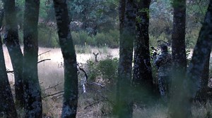 2.2K views · 52 reactions | ROE DEER RUT (SOUND ON) - That time of the year we have all been waiting for is almost here, those who hunt roe deer know how tense and difficult it is to call them. Any tips you would like to share? We will be releasing a video this week. | KUIU | Facebook