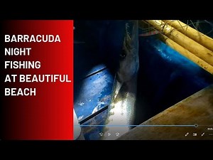 I Caught a HUGE Barracuda Using JIGGING Technique at Night