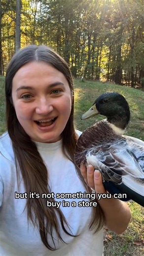 I’m super excited to learn how to sew because now the possibilities for duck costumes will be endless! 🎉 🦆 #fblifestyle #DunkinDucks #Ducks #PetCostumes #Sewing #Halloween | Dunkin Ducks