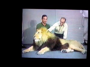 Opening to Aladdin 1993 VHS