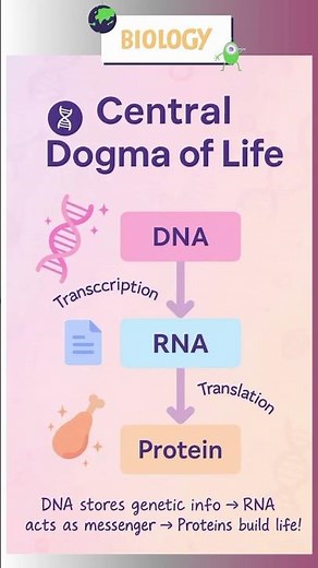 Let's study biology #dna#rna#protein#biology#transcription#class12#study