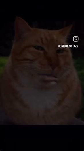 24 de febrero de 2026