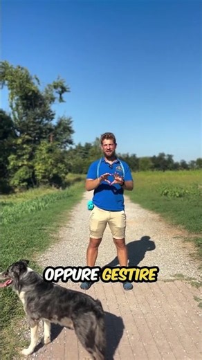 Pancia in su = coccole? Non sempre