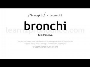 Pronunciation of Bronchi | Definition of Bronchi