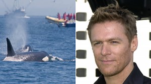 Bryan Adams acts as a human shield to protect whale from poachers in the Caribbean