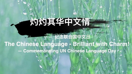 "The Chinese Language - Brilliant with Charm!"