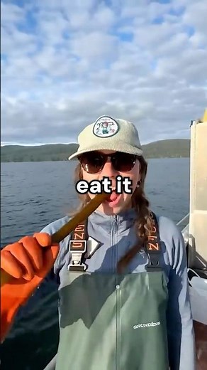 The Ocean’s Fastest-Growing Secret You Can Actually Eat 😳🌊 | Bull Kelp Explained