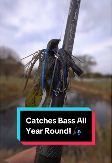 Best Bass Fishing Tips & Tricks for Catching Bass All Year Round! 🎣