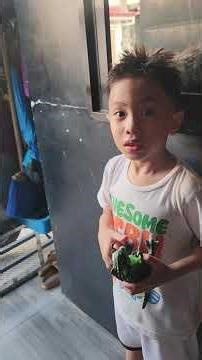 caroling using Violins 🎻