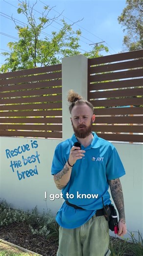 A Certificate II that actually prepares you for animal care 💙💚 #animals #animalcare #dogs