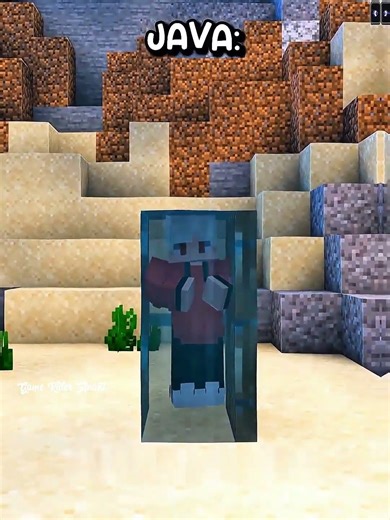 Java vs. Bedrock: The Ultimate Epic Doors Twist Showdown! 🔥✨ #minecraft