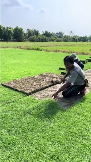 How Farmers Grow Fresh Vegetables | Organic Farming