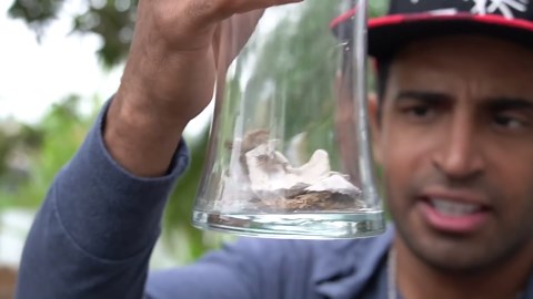 Archer fish pond - training begins