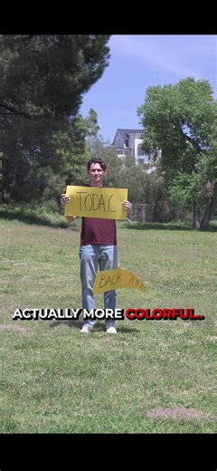 Exploring Color Perception Changes from Childhood