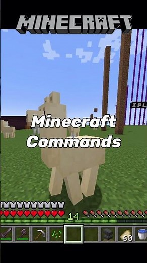 How to Hide Name tag of other Person! 😱Minecraft Command Series part-3