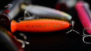 1.2K reactions · 115 shares | //NEW ARRIVAL// COAST 44T ultralight...