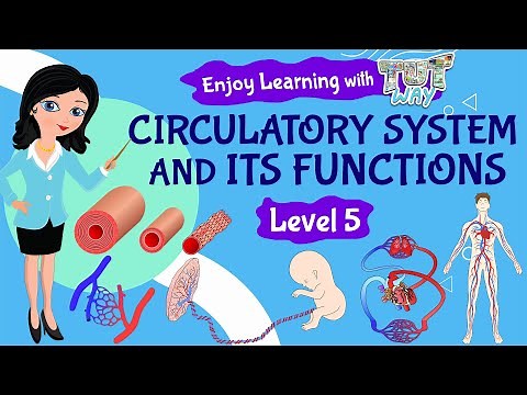 Circulatory System and its Functions | Science | Grade-5 | TutWay |