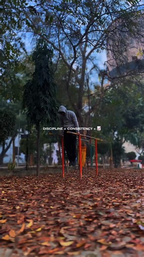 Rishi Calisthenix | Kept going.. #calisthenics #discipline #trainingroutine #progressoverperfect #showingup | Instagram