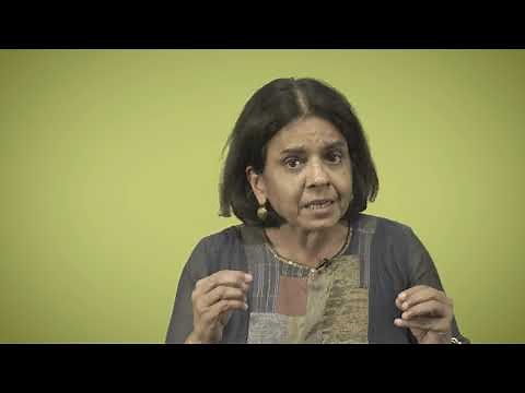 Can transforming mobility give us cleaner cities? | Sunita Narain | TEDxGateway