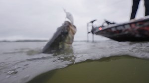 Kevin VanDam on Reels