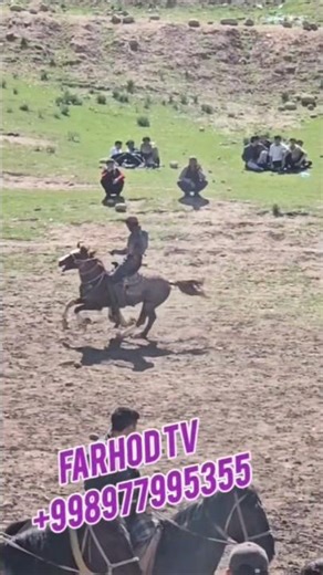 SUPER CHIQSHLAR #horse #farhod_tv