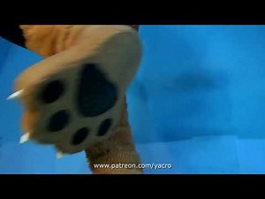 Video Test ROTT - HD