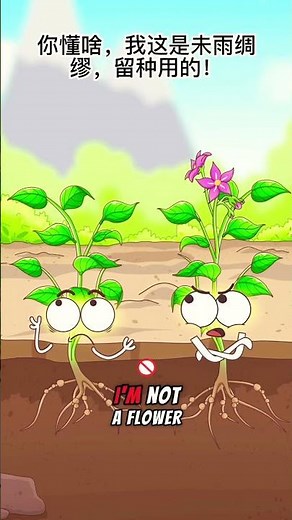 Potato tree plucked the flower😅 #garden #animation