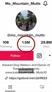 244K views · 5.1K reactions | One man's love for dogs has exploded into a business that has delighted the internet all at once. https://bbc.in/3QRz98z | BBC News | Facebook