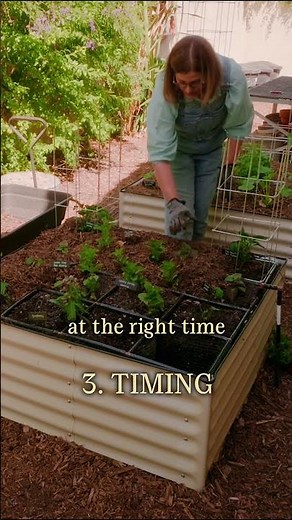Gardening problem? Check these 4 things first.