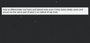 How to differentiate root hairs and lateral roots even if they... | Filo