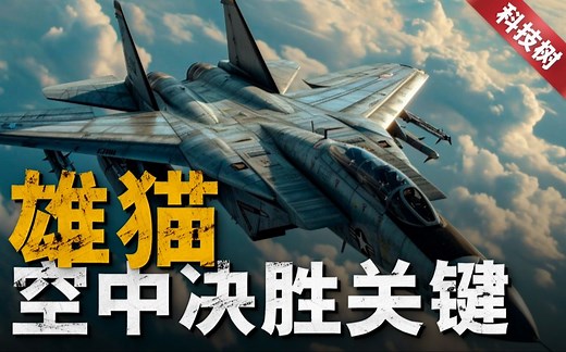 F-14究竟有多强！从诞生到退役，一直站在顶点的传奇！可变后掠翼的经典，三代机机皇！
