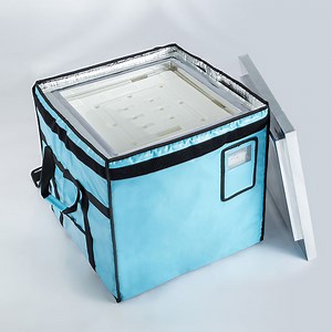 [Hot Item] Insulated Box Thermal Packaging Solution-Insulated Box to Protect Food, Produce, Drinks and Pharmaceuticals