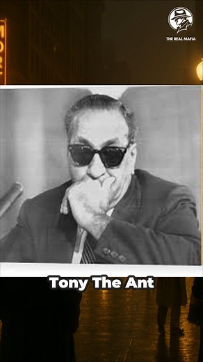 Tony Accardo — The Low-Profile Leader, Explained in History | The Real Mafia: Documentaries & Facts