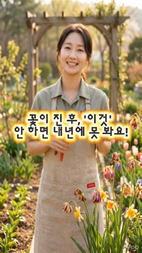 튤립·수선화, 꽃 졌다고 그냥 두면 내년에 못 봐요! 필수 관리법 3단계#구근관리#튤립#수선화#shorts
