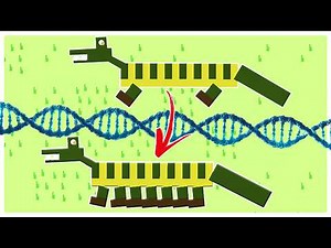 I Broke Evolution With DNA Editing